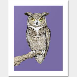 Great horned owl Posters and Art